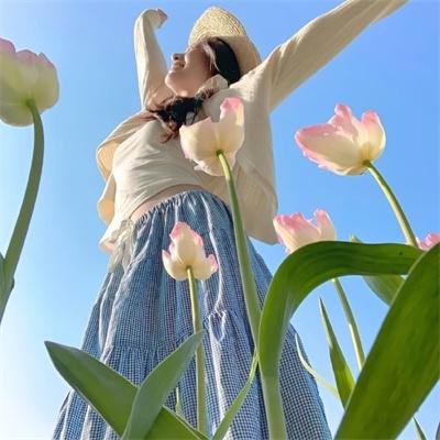 檀岛春色